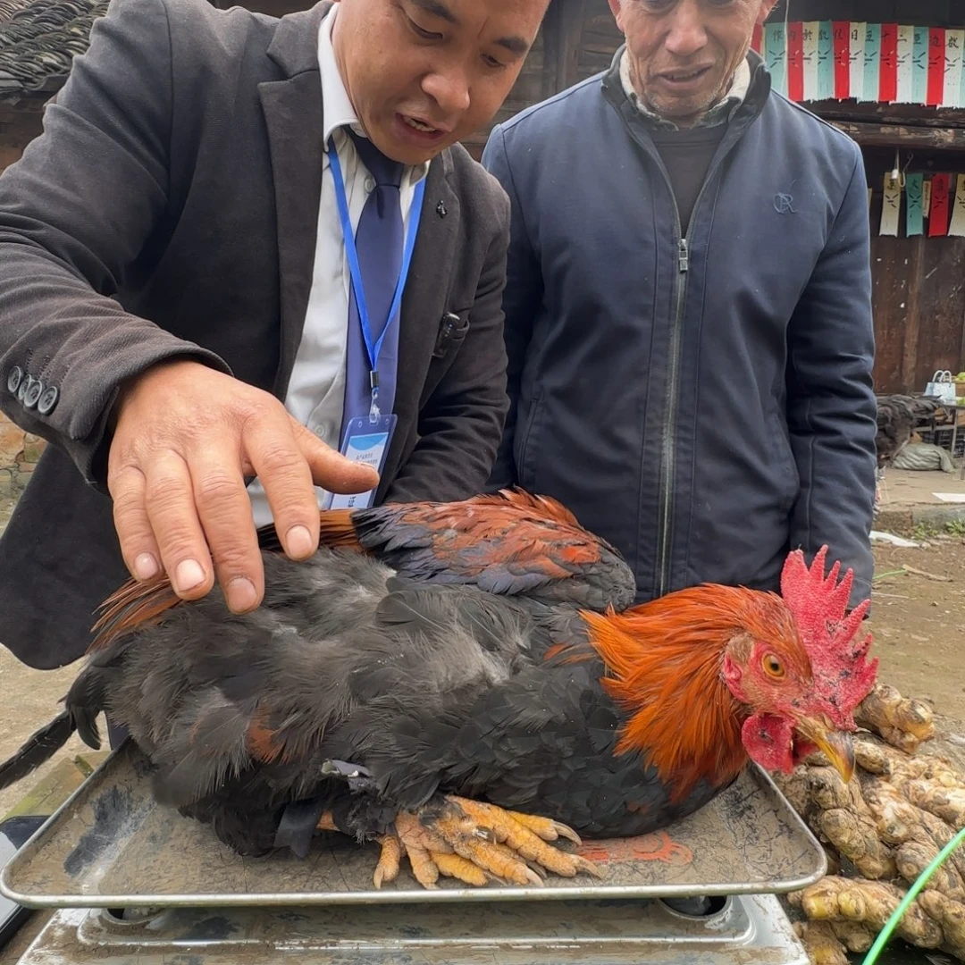 包装中国大陆2615，