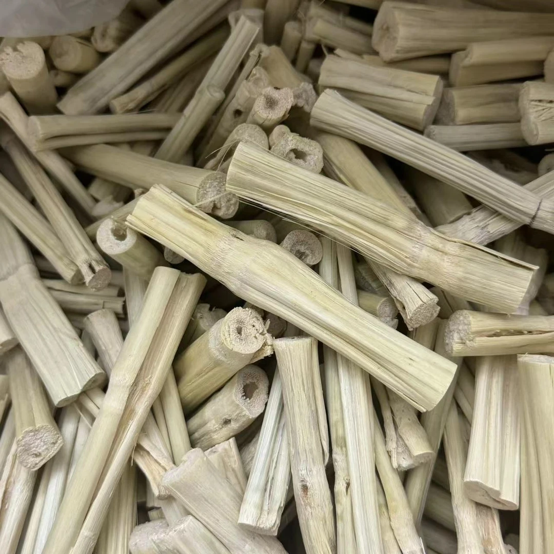 竹蔗 青皮甘蔗干 清甜