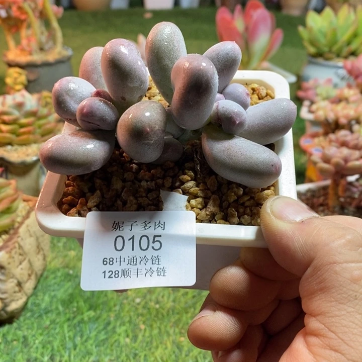 0105啊啊啊啊啊啊啊啊啊