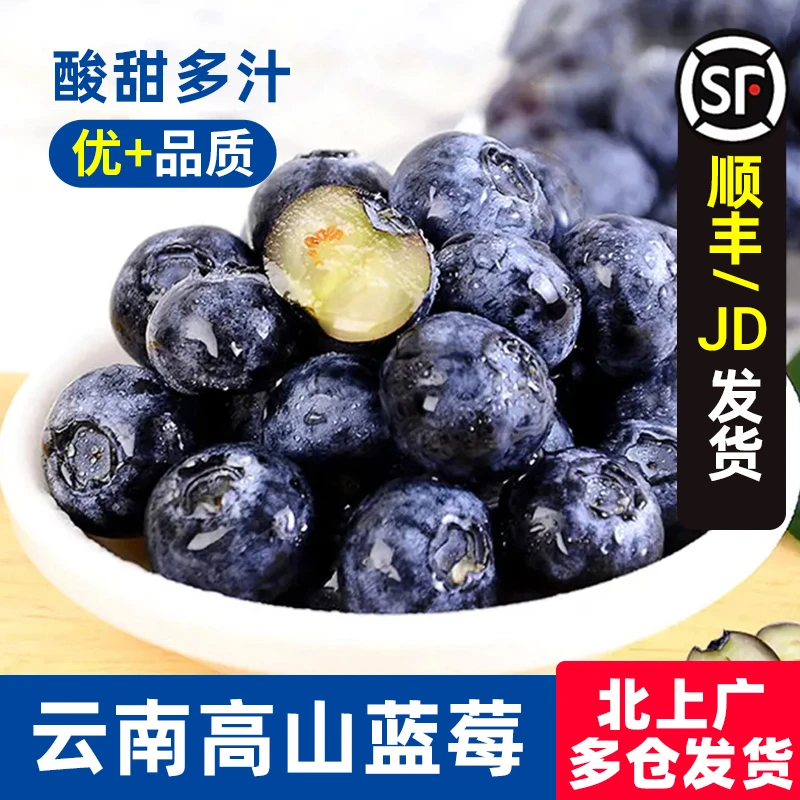 【小贝专属】云南当季高山蓝莓4盒 单盒125g 单果15-18mm 新鲜采摘