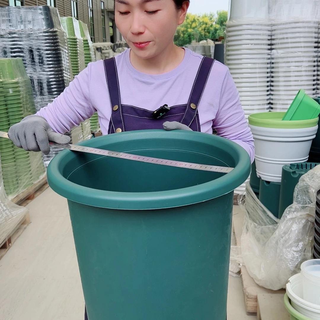 四季盆8#墨绿5个无托