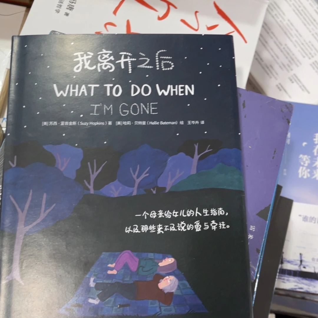 我离开之后精装一个