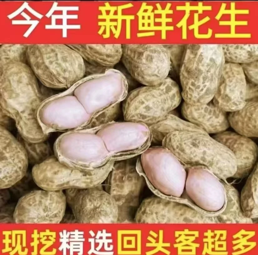 现挖新鲜带壳带泥粉皮湿花生农户自种水煮软糯香甜