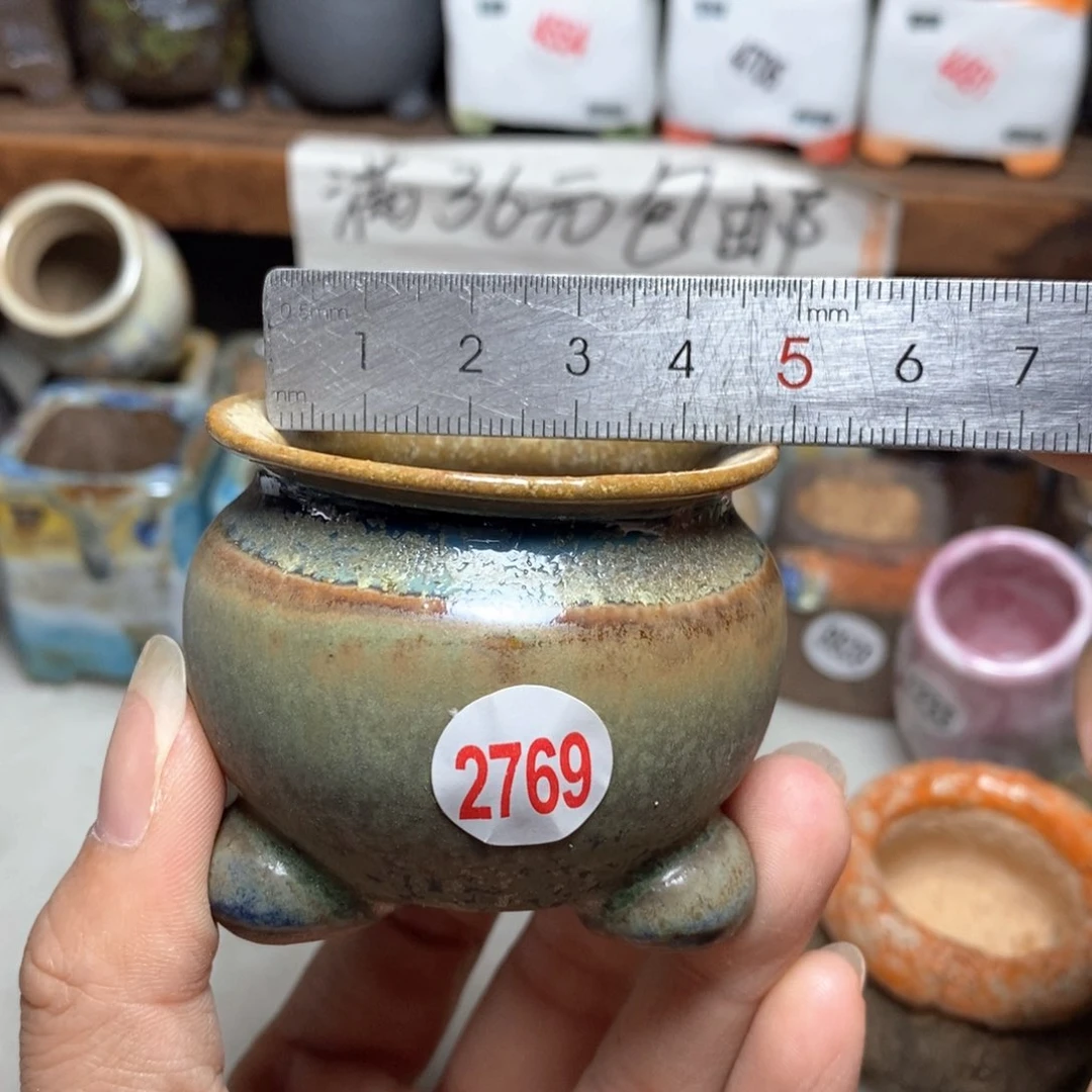 拍5送一个小礼物