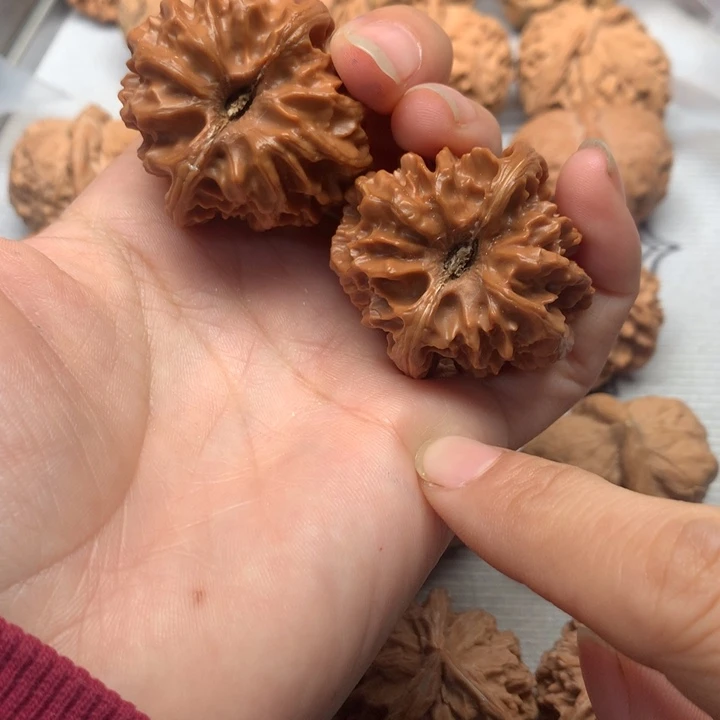 爽***哥把件文玩核桃曹大龙