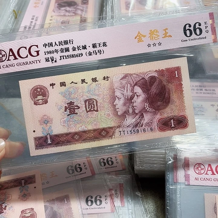 15581619。。。。。。。。金马号