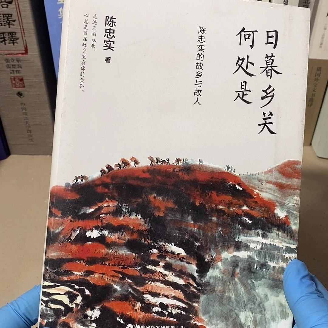 日暮乡关何处是……