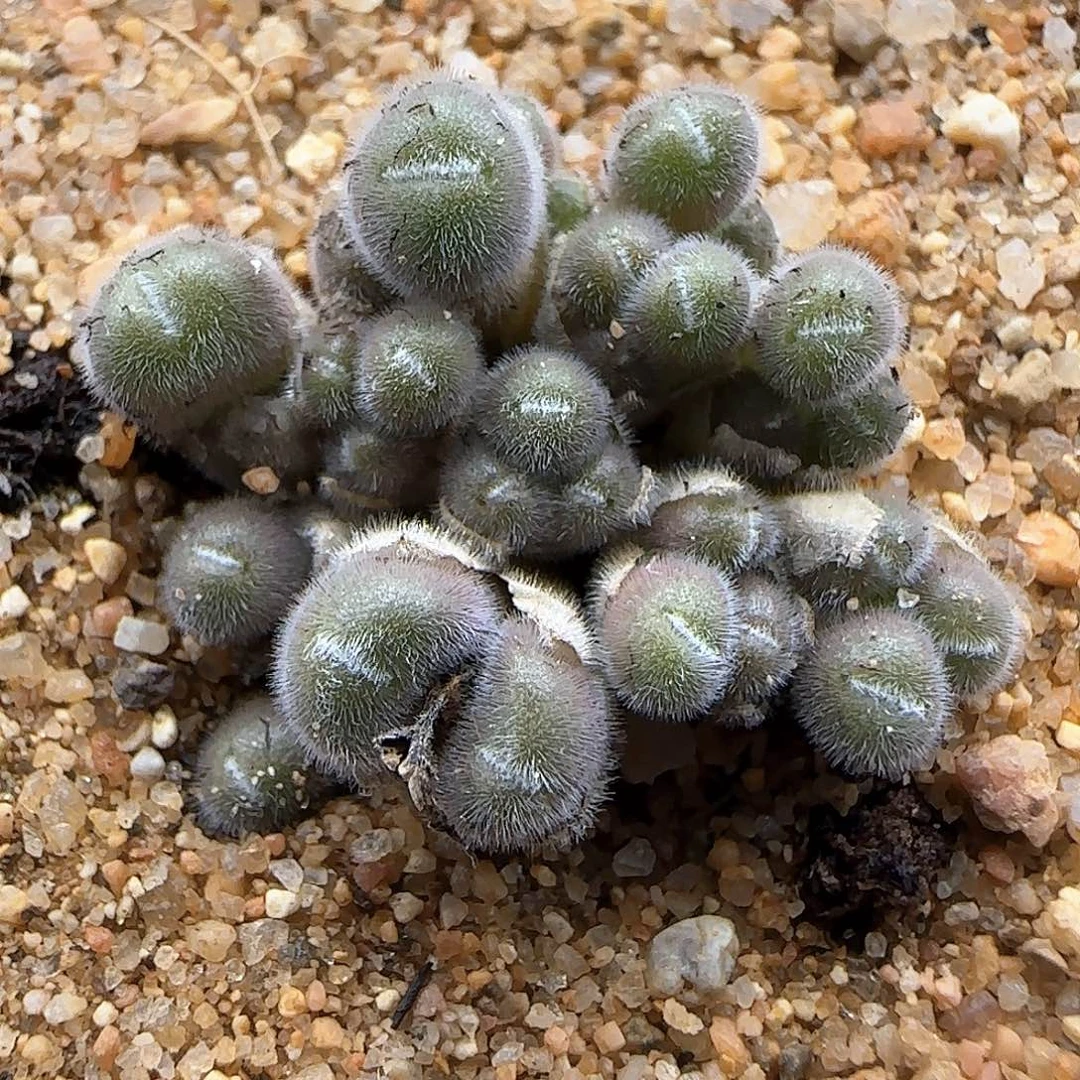 哈哈哈哈哈哈哈48612