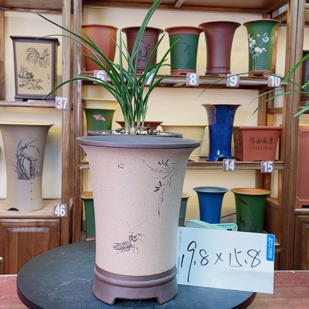 【闪购商品】紫砂花盆兰花55588566655988789