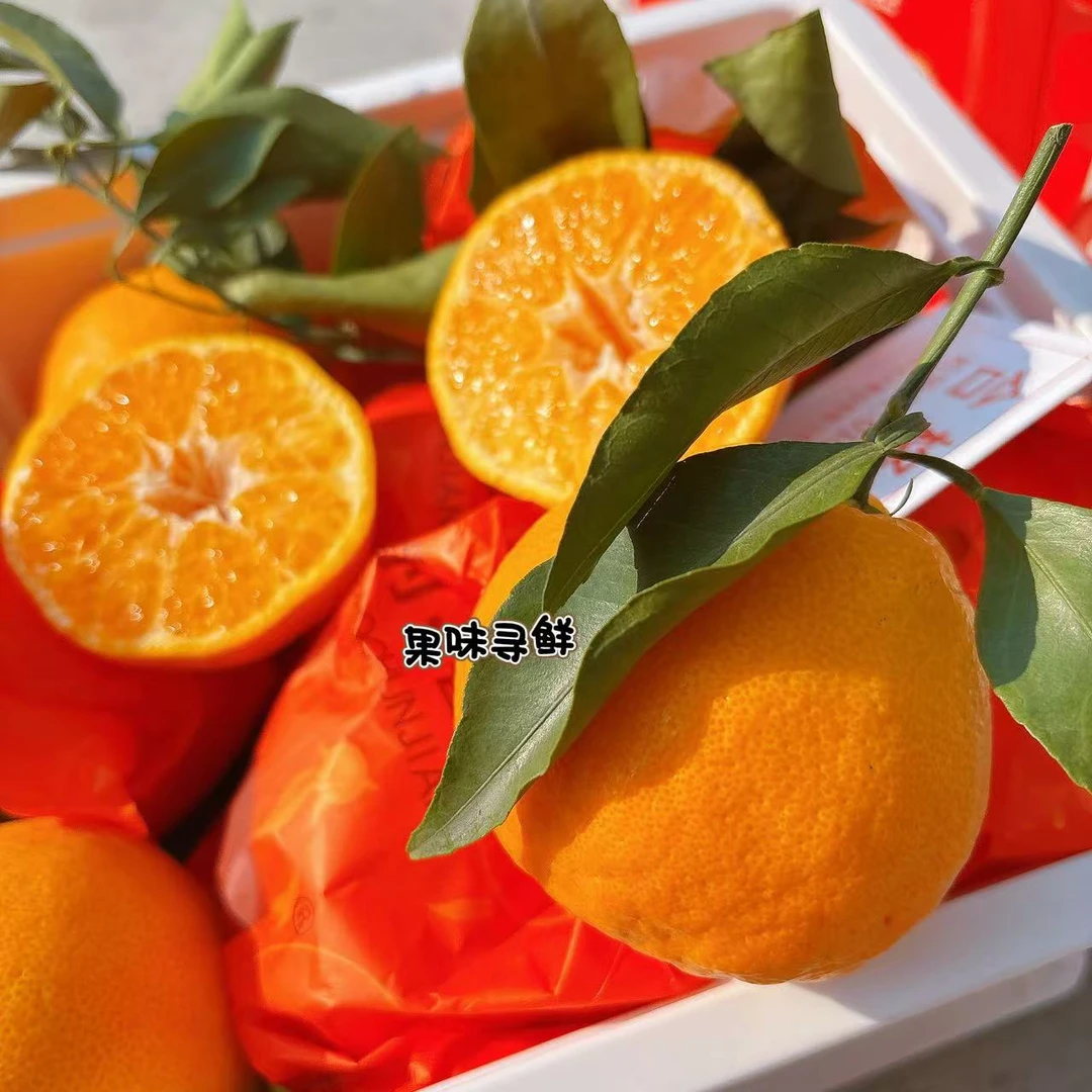 蜀豹 春见耙耙柑 净重4.6~4.8斤毛重6斤 春见每一瓣，都超级新鲜
