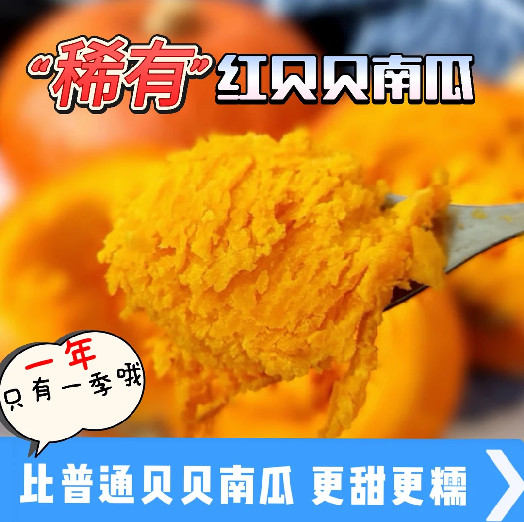 红贝贝南瓜板栗口感粉糯香甜宝宝辅食现挖现发新鲜南瓜