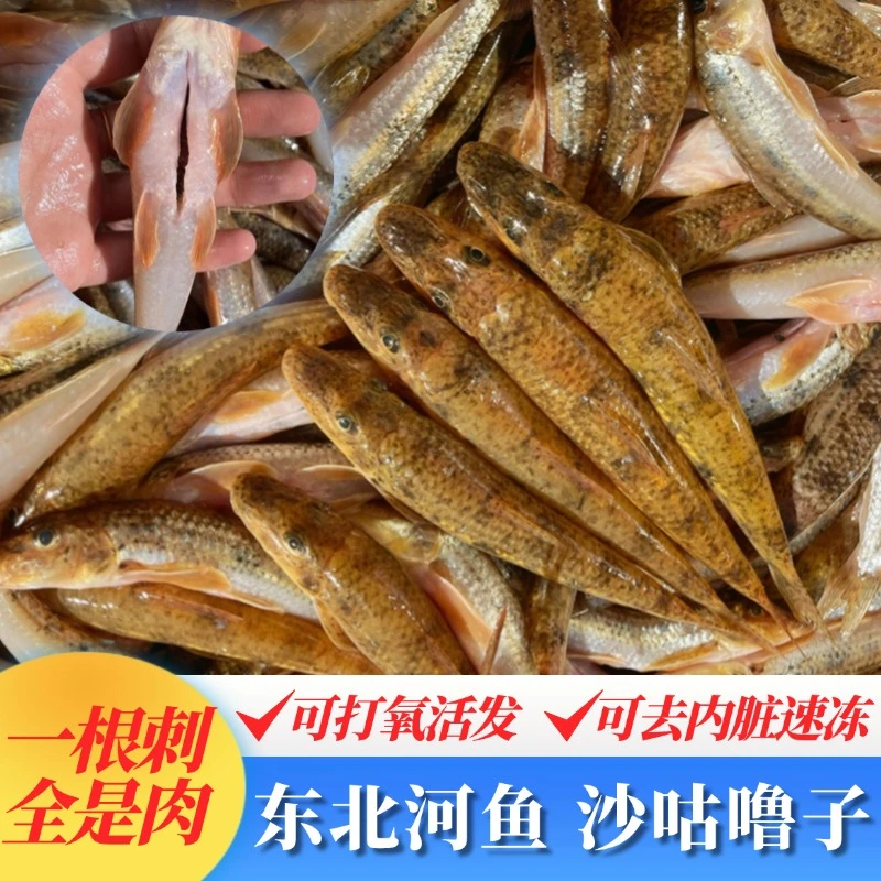 【沙咕噜鱼】东北河鱼沙沟鱼沙葫芦子鱼沙胡鲈子1斤起酱焖