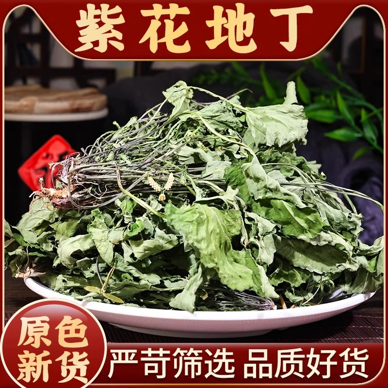 紫花地丁优选湖北武当山农村犁头草新鲜干地丁草泡茶泡水紫花地丁
