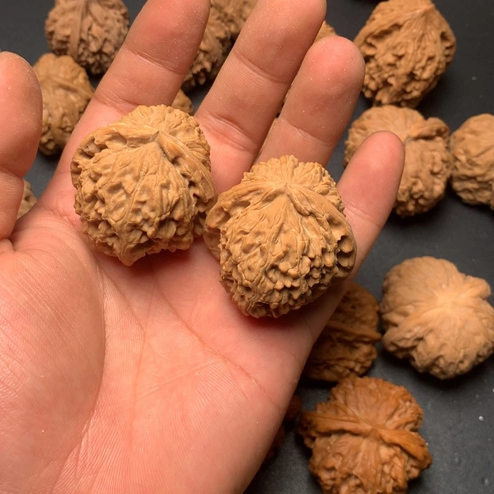 文玩核桃把件40白狮子411