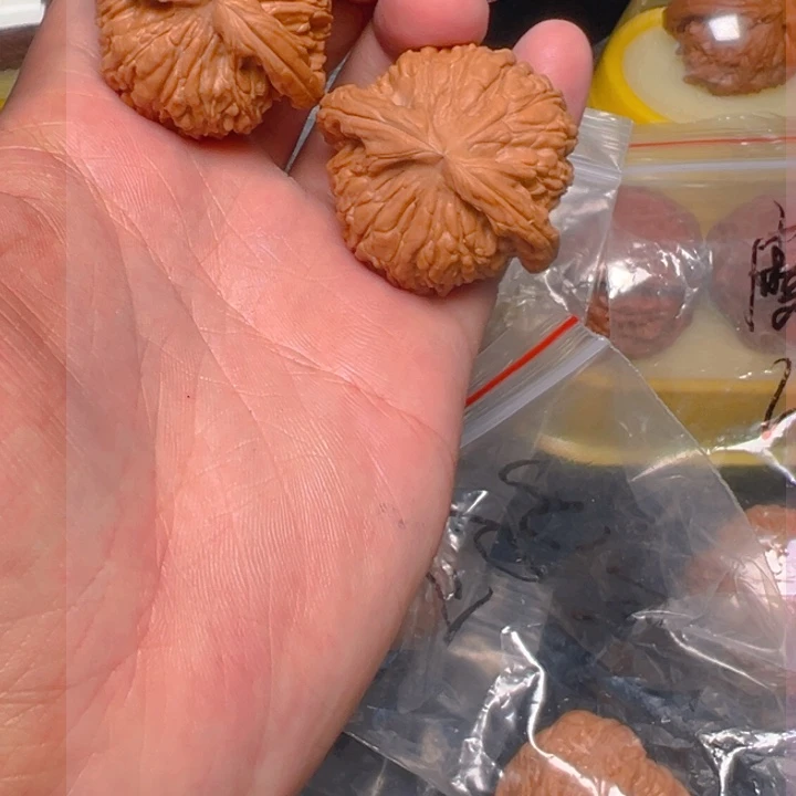 核桃42白狮子，全品，已打底