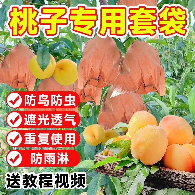 桃子专用套袋桃子袋水蜜桃黄桃冬桃蟠桃黄金奈李水果套袋防水防虫