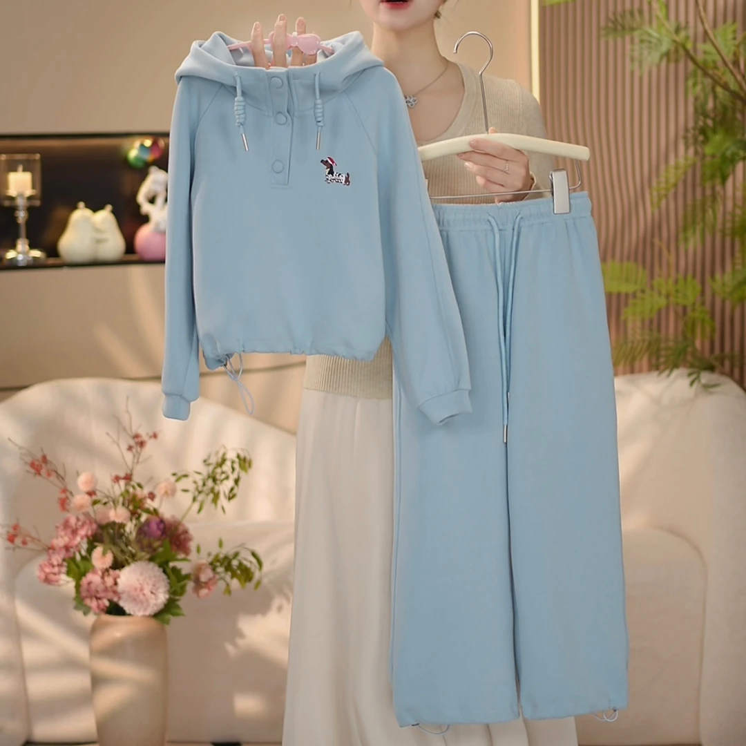 boboe/波波鹅2025春季新款女童休闲时尚纯色上衣+裤子—Y4080