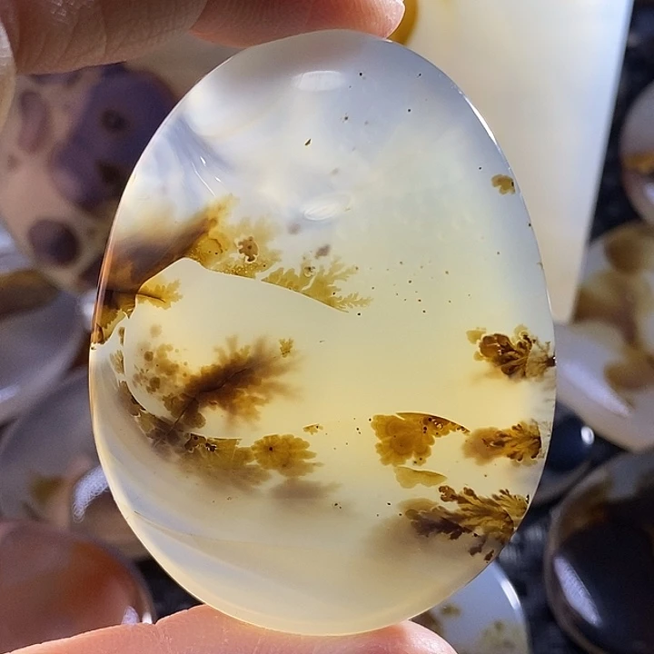 未镶嵌颈饰玛瑙/玉髓