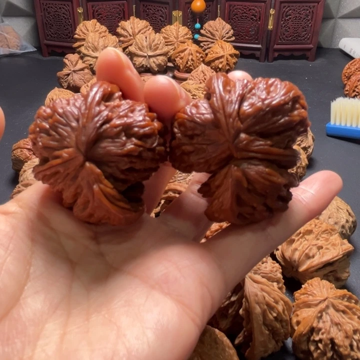 白狮子两棱挂角43尺寸核桃哈哈哈哈哈哈