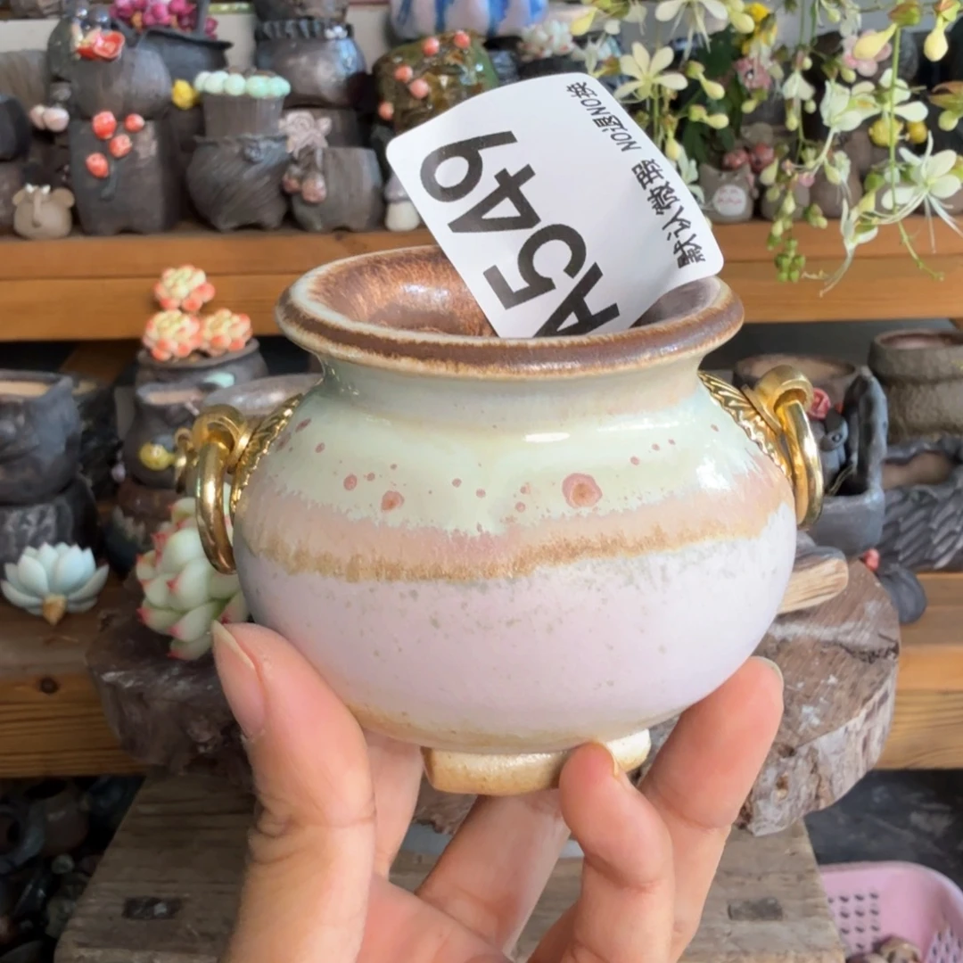 重庆小燕子欢迎大家549