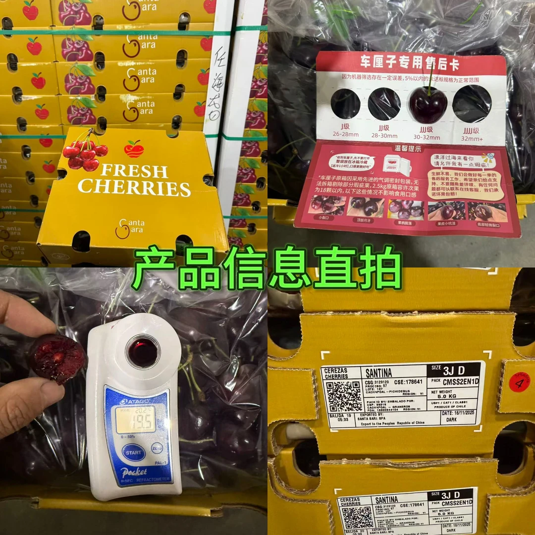 【看链接再下单】智利车厘子海运原箱桑提娜3JD 5斤内附果径卡 14号