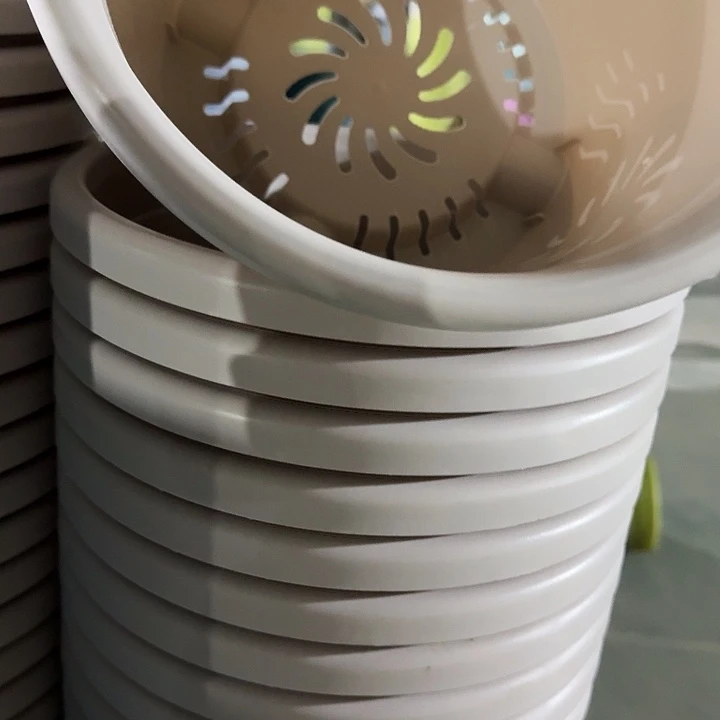 四季5号灰白无托10个特价微瑕