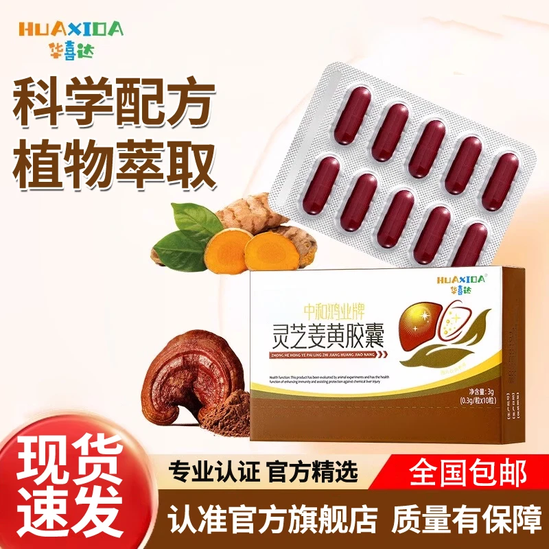 【官方旗舰】华喜达中和鸿业牌灵芝姜黄胶囊中增强正品免疫力口干