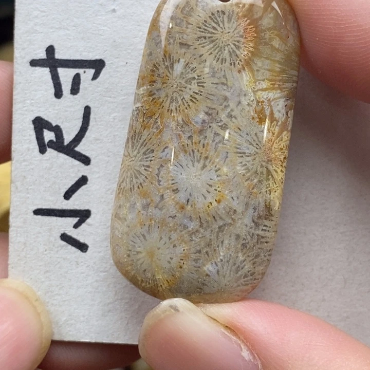 硅化珊瑚（珊瑚玉）未镶嵌颈饰