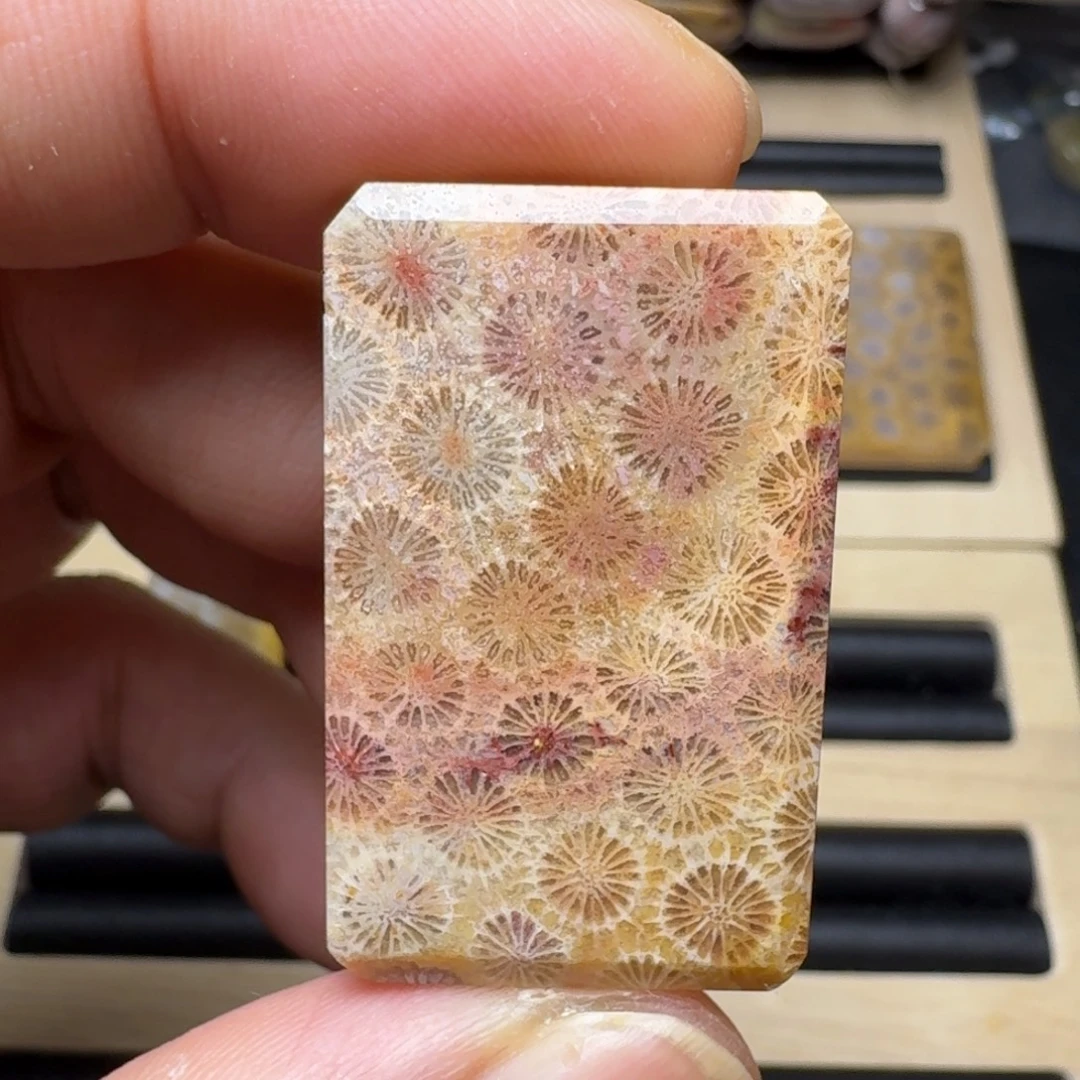 硅化玉未镶嵌纯天然色有机玉石保真色