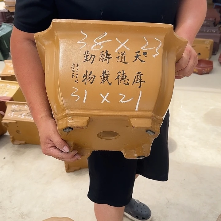 紫砂花盆这是我第一