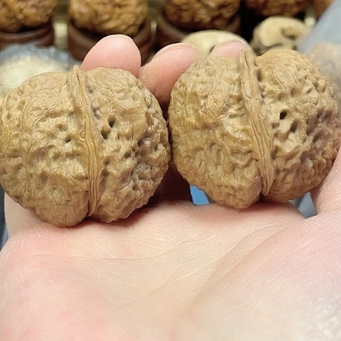 文玩核桃把件铁狮蟾带彩44
