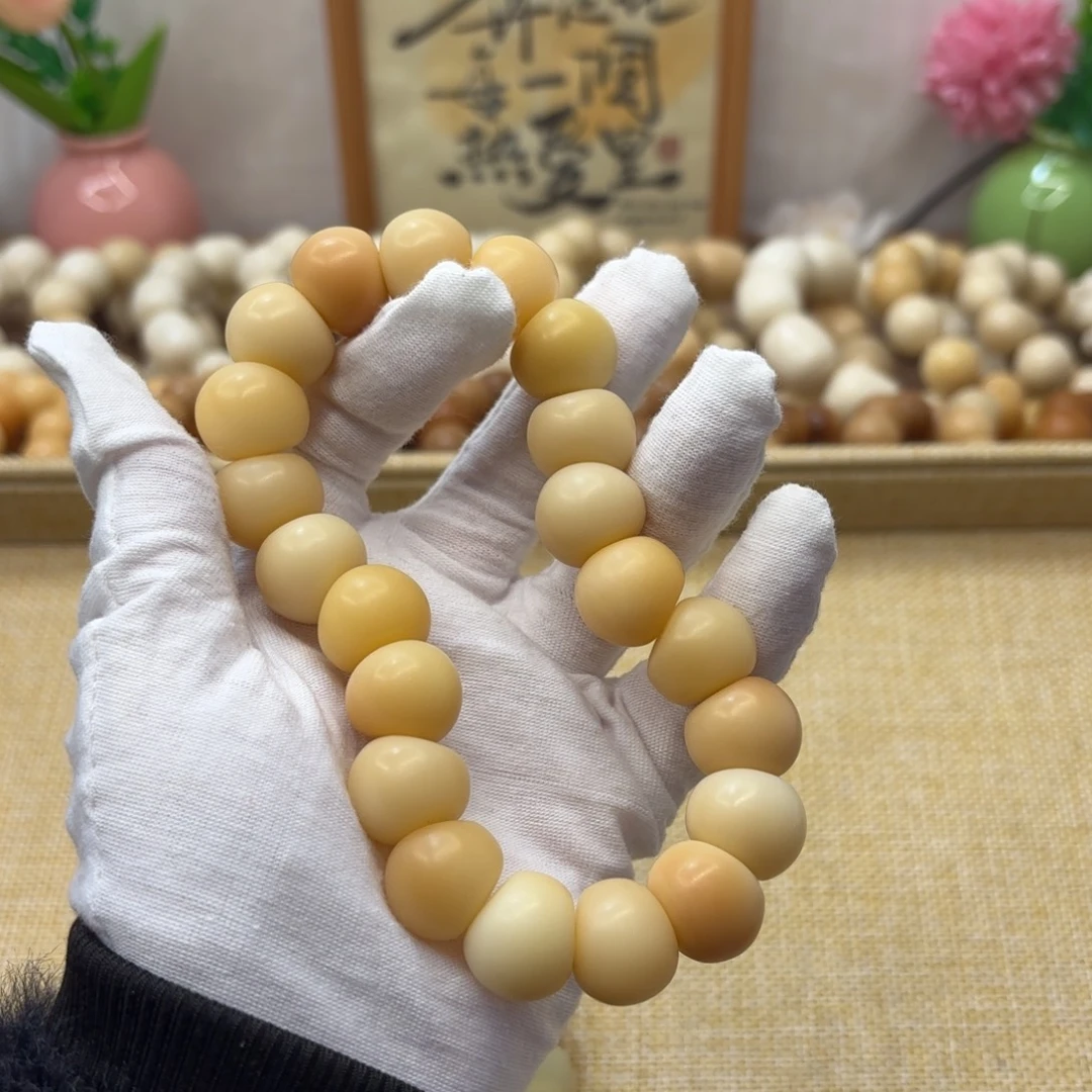菩提根/象牙果吊坠17干磨微瑕落地果肠066