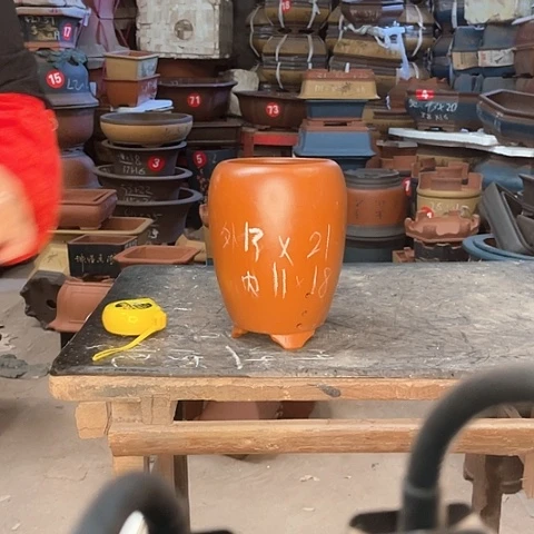 紫砂花盆龙胆盆一只