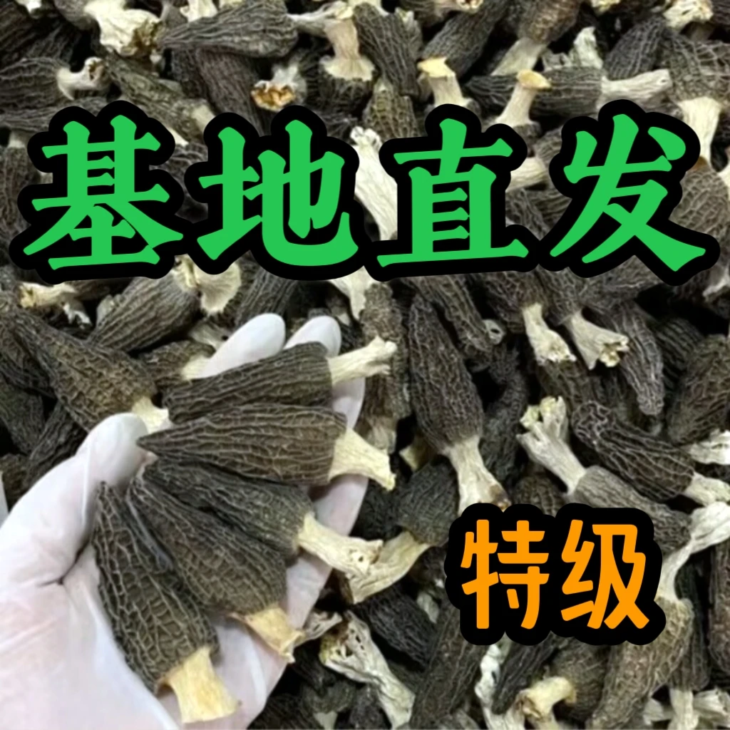 2025羊肚菌头茬新货云南土特产野生羊肚菌干货菌菇类煲汤食材