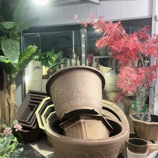 复合盆景制作过程