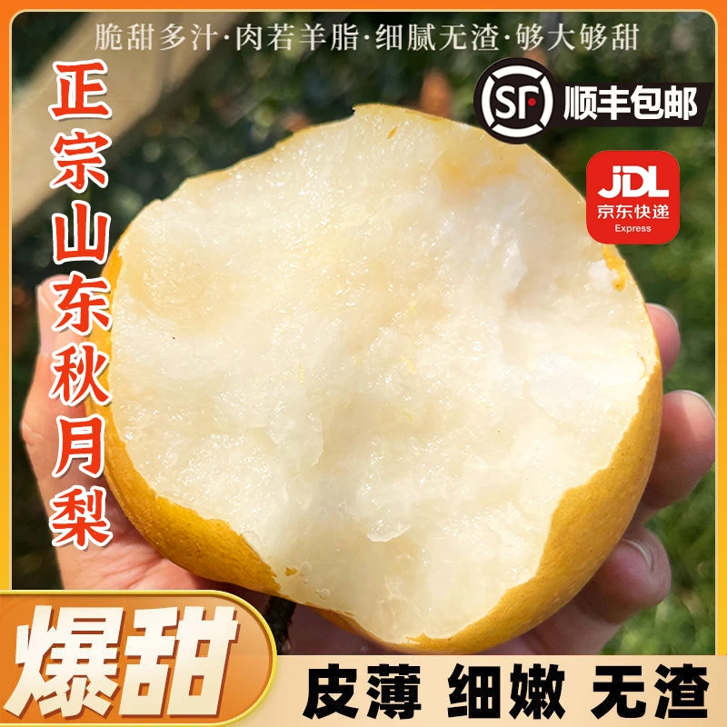 【顺丰/京东】新鲜采摘头茬山东莱阳秋月梨冰糖梨产地直销新鲜水果