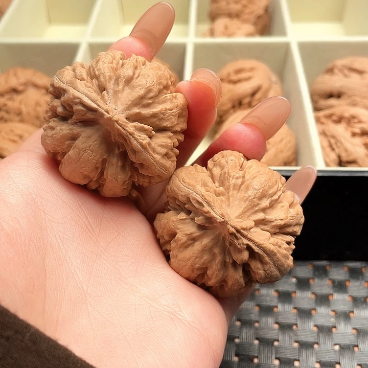 芒****霸王龙核桃尺寸40