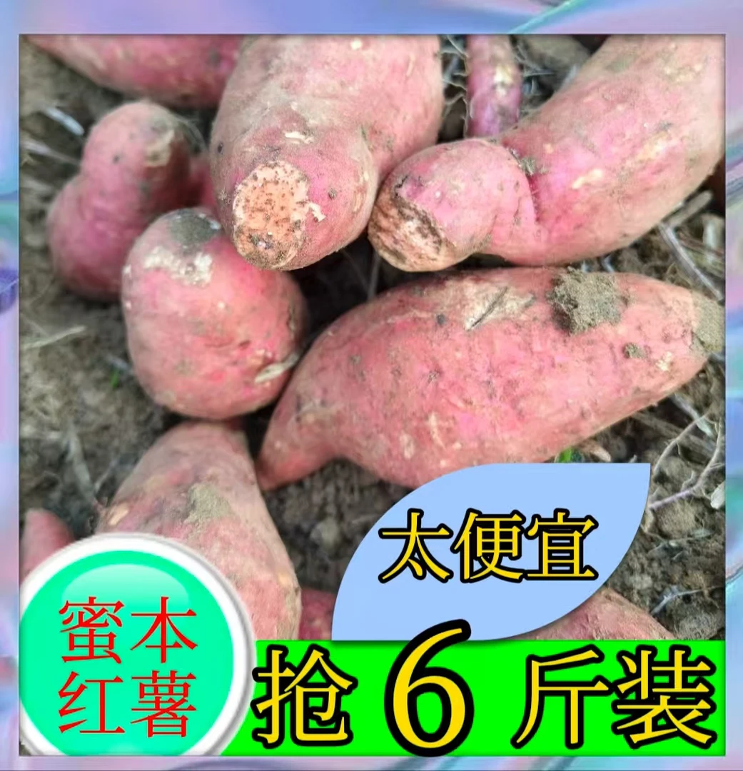 正宗富硒板栗薯红薯粉糯香甜新鲜现挖武功山地瓜粗粮代餐红心蜜署