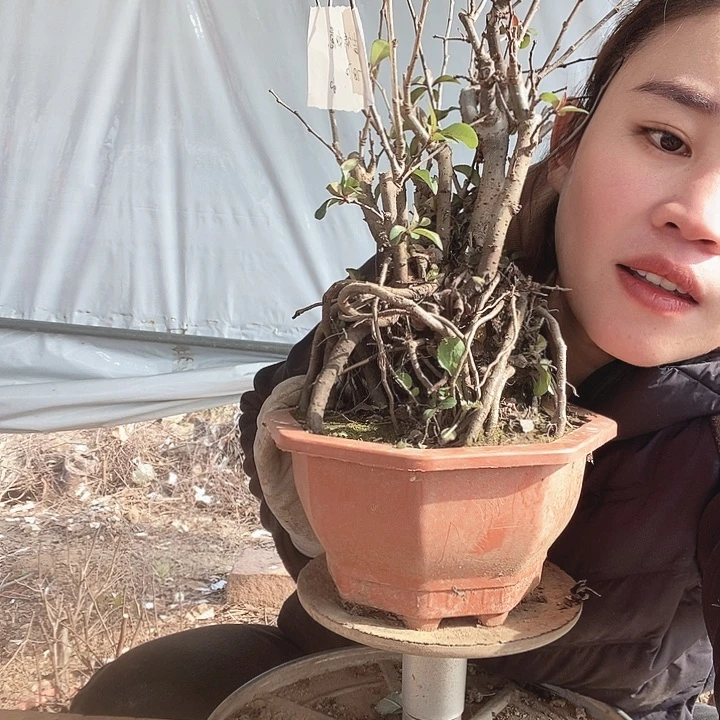 完全开放吉**音11111111111