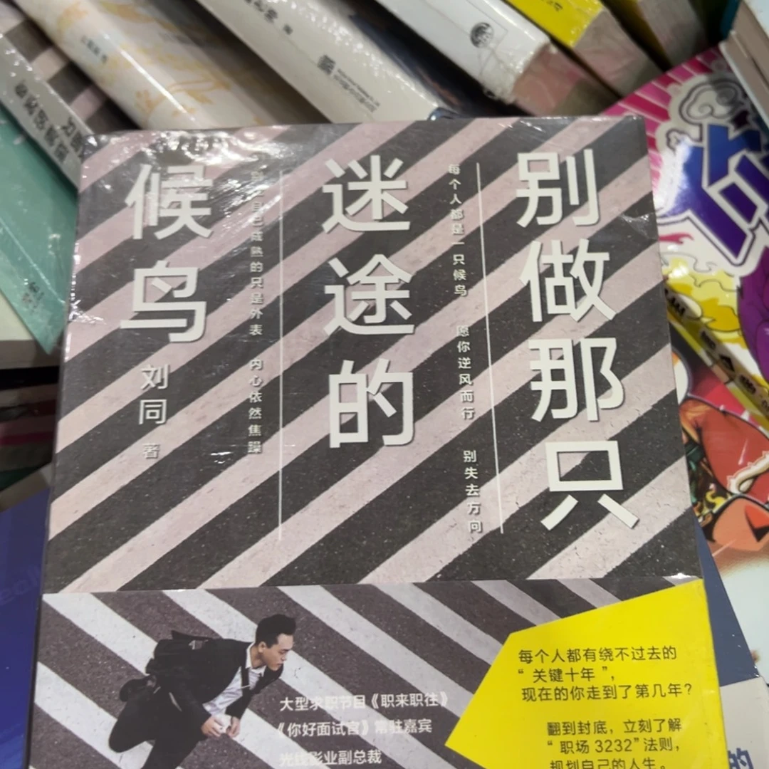 迷途知返的候鸟五米
