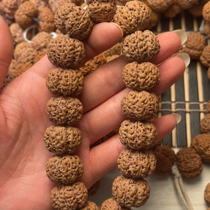 菩提好**见尼泊尔大金刚爆肉梁龙牙梅花21