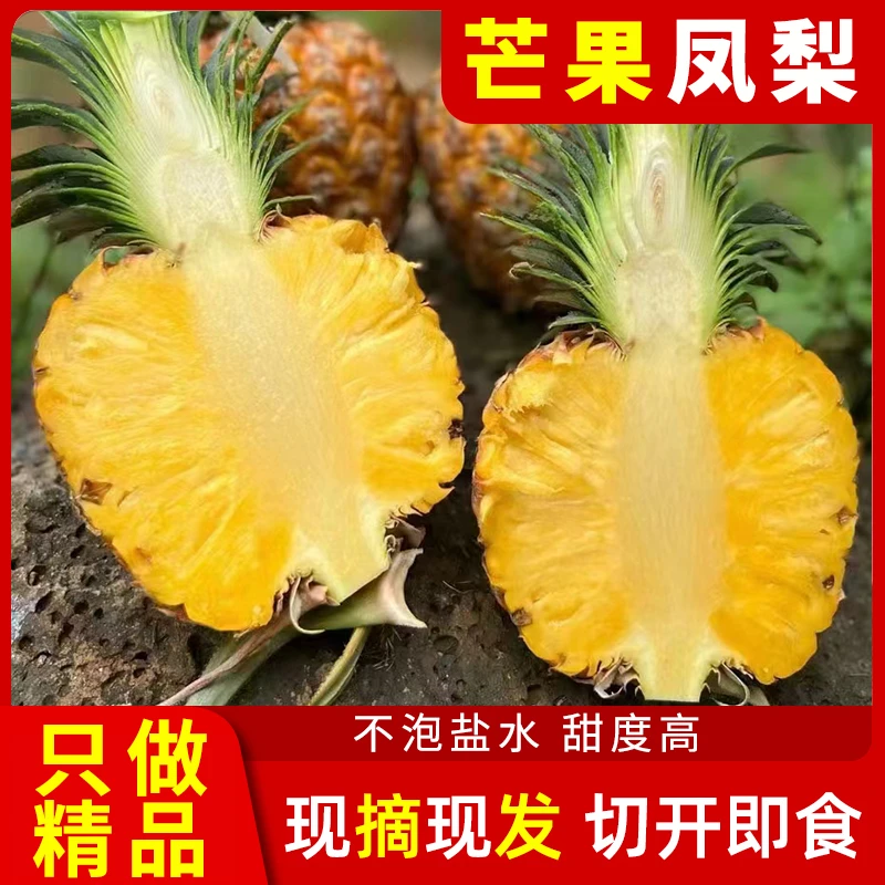 【坏果包赔】海南正宗芒果凤梨现摘现发新鲜水果