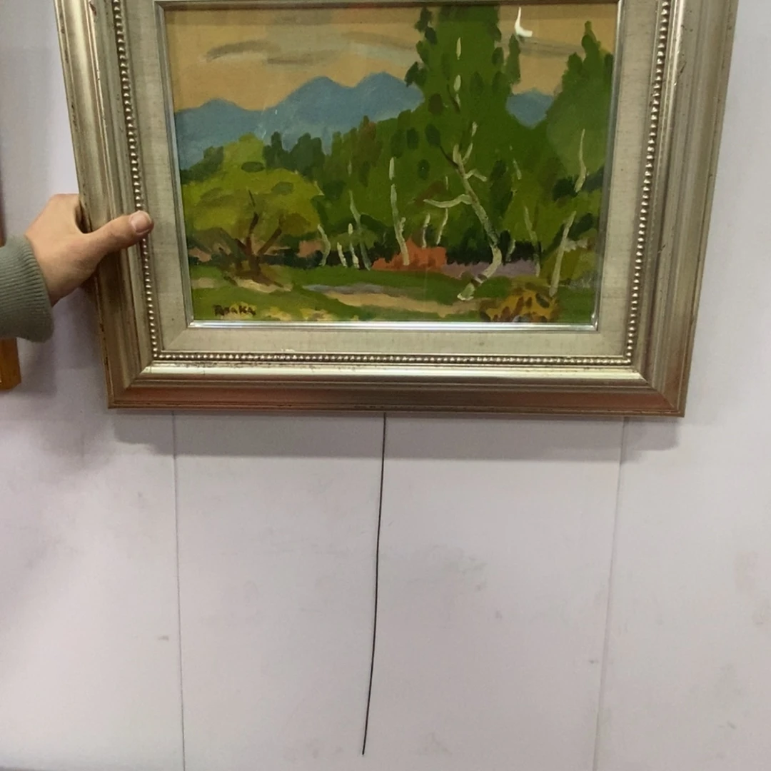 赵**师精品作品展示作品