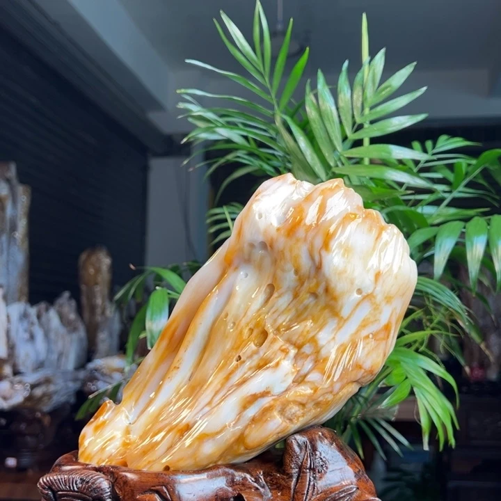 硅化玉（树化玉）未镶嵌珠宝奇石