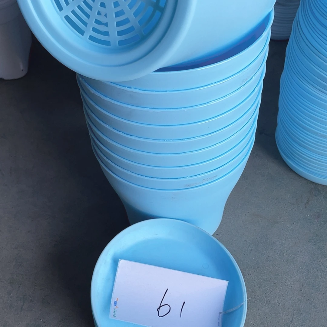 编号是61号的61号的