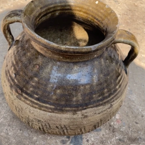 种草种菜．．．种草种菜养鱼