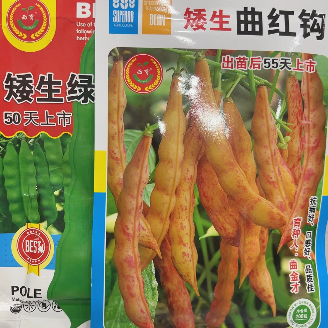 矮曲红勾，矮生绿霸种子
