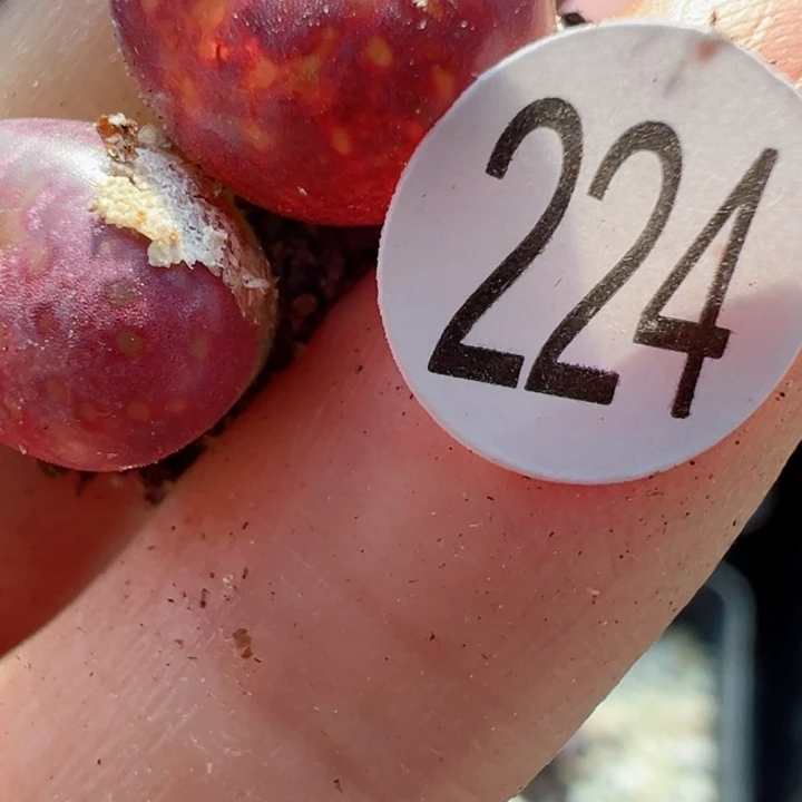 .****.224号1111111111111