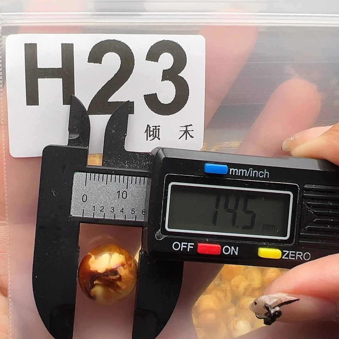 未镶嵌琥珀裸石14