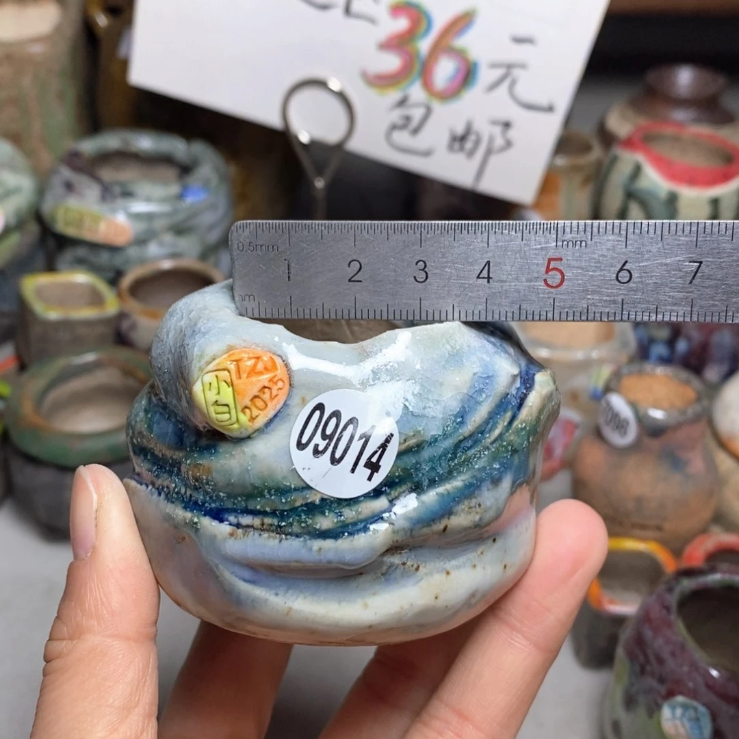 花盆拍3送一个小礼物